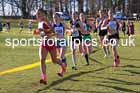 Junior Womens 2025 Northern Cross Country Champs, Tatton Park, Knutsford, Cheshire. Photo: David T. Hewitson/Sports for All Pics